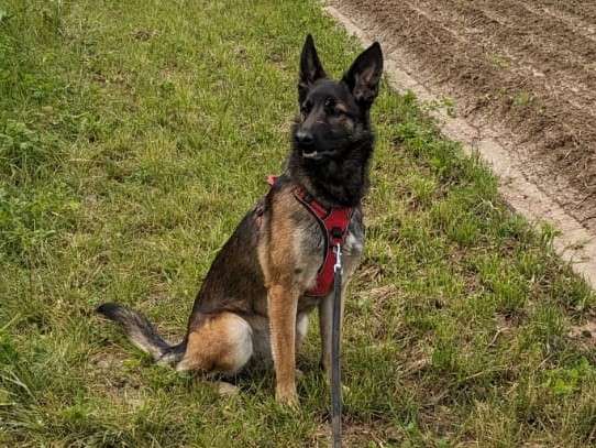 Le cours individuel Durée 1h00 - 55€